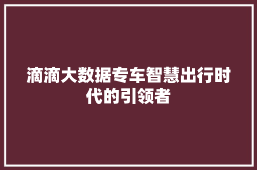 滴滴大数据专车智慧出行时代的引领者