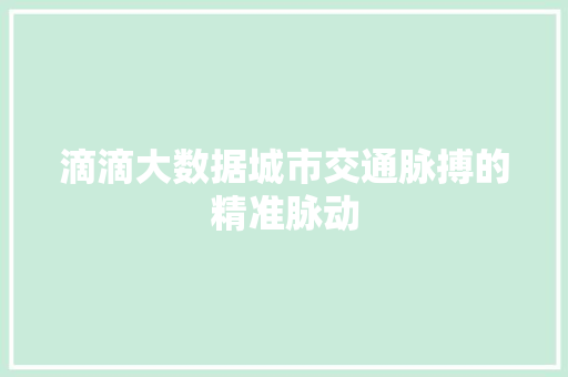 滴滴大数据城市交通脉搏的精准脉动
