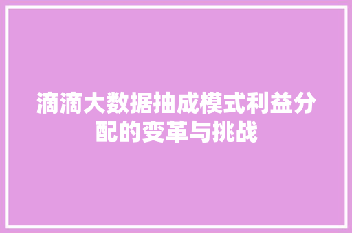 滴滴大数据抽成模式利益分配的变革与挑战