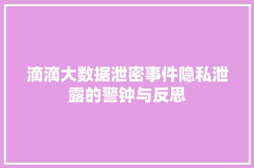 滴滴大数据泄密事件隐私泄露的警钟与反思