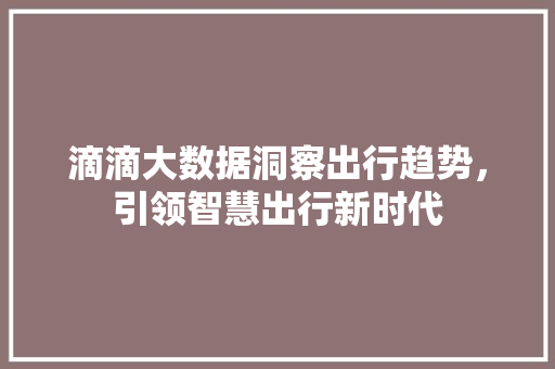 滴滴大数据洞察出行趋势，引领智慧出行新时代