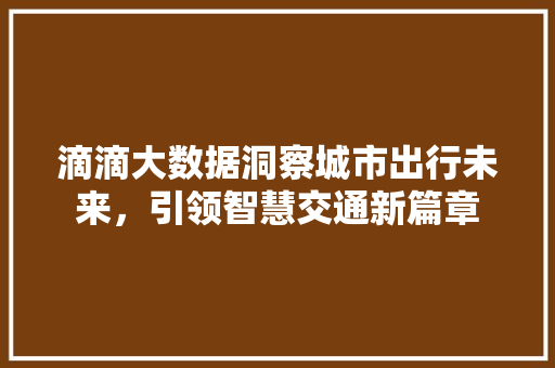 滴滴大数据洞察城市出行未来，引领智慧交通新篇章 网络技术