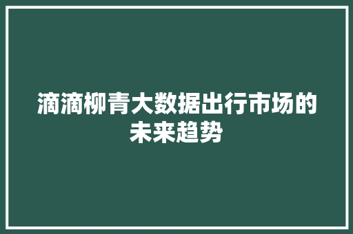 滴滴柳青大数据出行市场的未来趋势