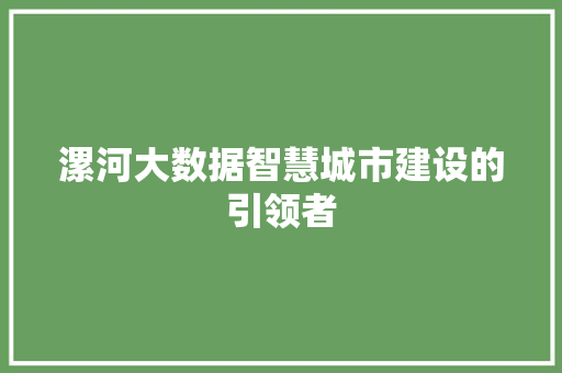漯河大数据智慧城市建设的引领者 网络技术 漯河大数据智慧城市建设的引领者 网络技术
