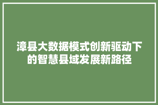 漳县大数据模式创新驱动下的智慧县域发展新路径