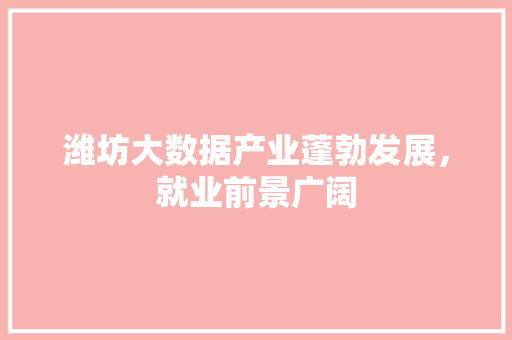 潍坊大数据产业蓬勃发展，就业前景广阔