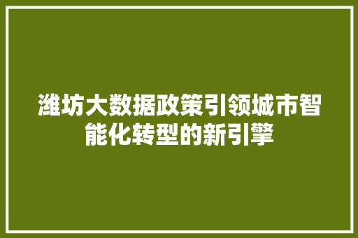 潍坊大数据政策引领城市智能化转型的新引擎