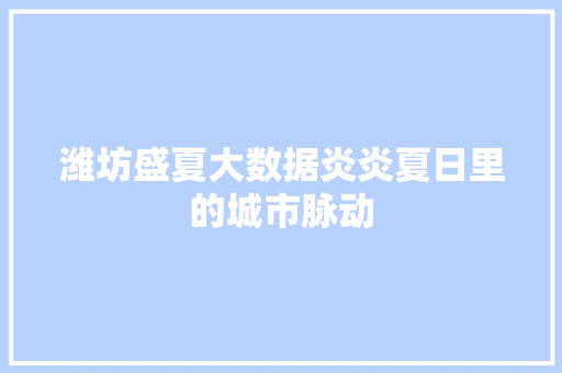 潍坊盛夏大数据炎炎夏日里的城市脉动 潍坊盛夏大数据炎炎夏日里的城市脉动