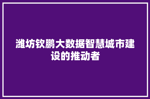 潍坊钦鹏大数据智慧城市建设的推动者 潍坊钦鹏大数据智慧城市建设的推动者