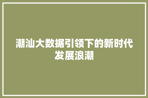 潮汕大数据引领下的新时代发展浪潮