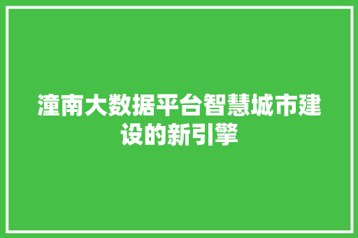 潼南大数据平台智慧城市建设的新引擎