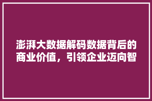 澎湃大数据解码数据背后的商业价值，引领企业迈向智能未来
