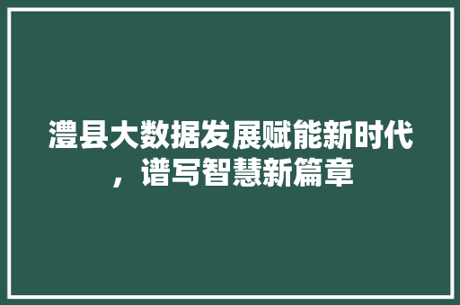 澧县大数据发展赋能新时代，谱写智慧新篇章