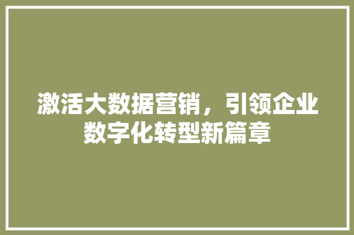 激活大数据营销，引领企业数字化转型新篇章