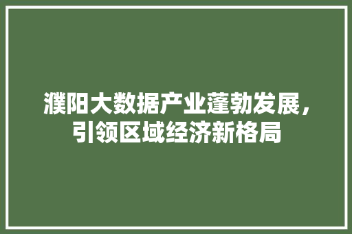 濮阳大数据产业蓬勃发展，引领区域经济新格局