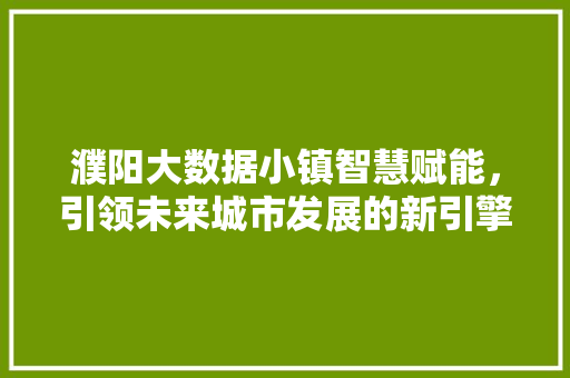 濮阳大数据小镇智慧赋能，引领未来城市发展的新引擎