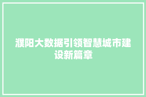 濮阳大数据引领智慧城市建设新篇章