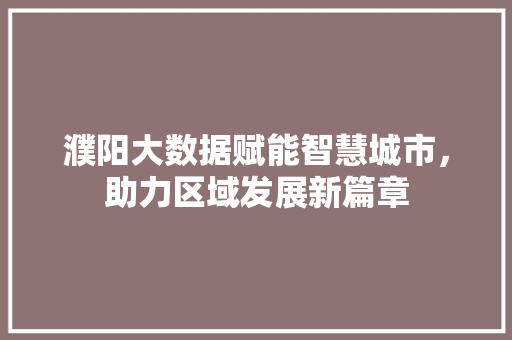 濮阳大数据赋能智慧城市，助力区域发展新篇章