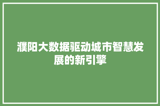濮阳大数据驱动城市智慧发展的新引擎