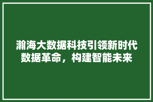 瀚海大数据科技引领新时代数据革命,构建智能未来 瀚海大数据科技引领新时代数据革命,构建智能未来