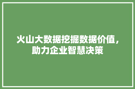 火山大数据挖掘数据价值,助力企业智慧决策 火山大数据挖掘数据价值,助力企业智慧决策