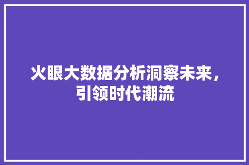 火眼大数据分析洞察未来，引领时代潮流