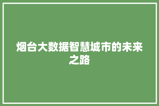 烟台大数据智慧城市的未来之路