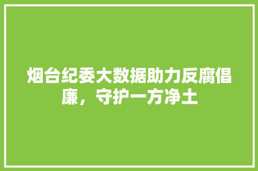 烟台纪委大数据助力反腐倡廉，守护一方净土