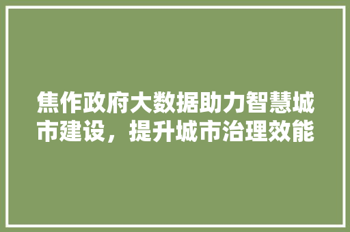 焦作政府大数据助力智慧城市建设，提升城市治理效能