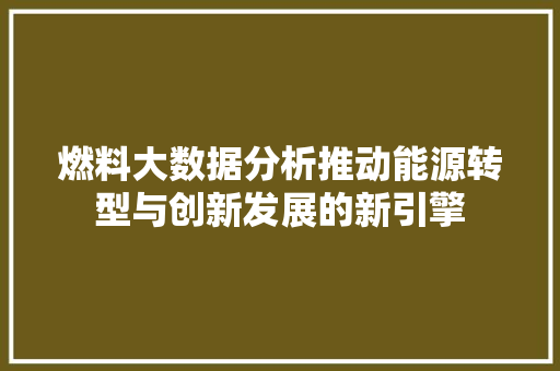燃料大数据分析推动能源转型与创新发展的新引擎