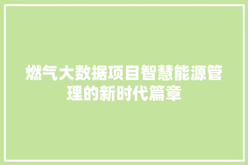 燃气大数据项目智慧能源管理的新时代篇章