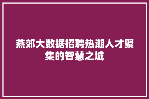 燕郊大数据招聘热潮人才聚集的智慧之城