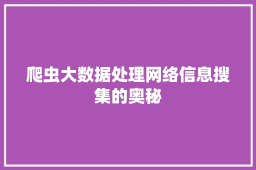 爬虫大数据处理网络信息搜集的奥秘