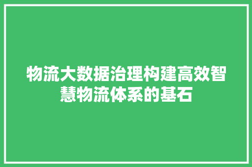 物流大数据治理构建高效智慧物流体系的基石