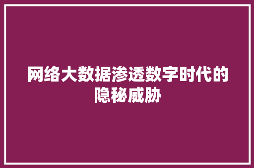网络大数据渗透数字时代的隐秘威胁