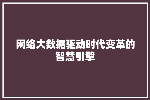网络大数据驱动时代变革的智慧引擎