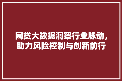 网贷大数据洞察行业脉动,助力风险控制与创新前行 网贷大数据洞察行业脉动,助力风险控制与创新前行