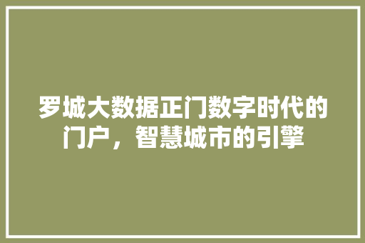 罗城大数据正门数字时代的门户,智慧城市的引擎 罗城大数据正门数字时代的门户,智慧城市的引擎