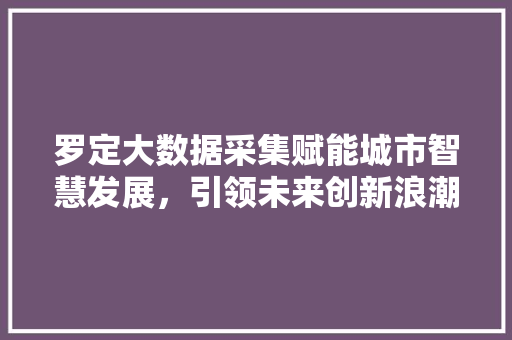 罗定大数据采集赋能城市智慧发展,引领未来创新浪潮 罗定大数据采集赋能城市智慧发展,引领未来创新浪潮