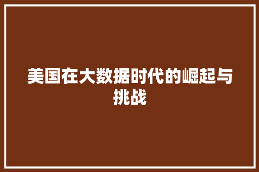 美国在大数据时代的崛起与挑战