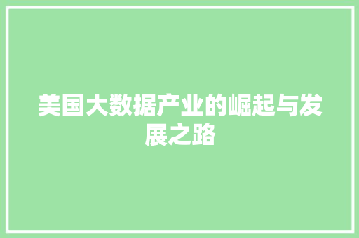 美国大数据产业的崛起与发展之路