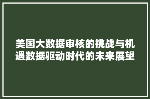 美国大数据审核的挑战与机遇数据驱动时代的未来展望