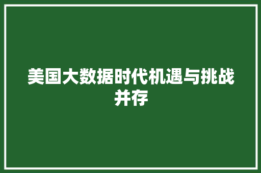 美国大数据时代机遇与挑战并存