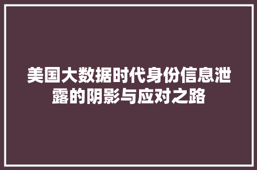 美国大数据时代身份信息泄露的阴影与应对之路