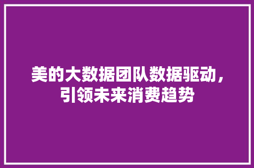 美的大数据团队数据驱动，引领未来消费趋势