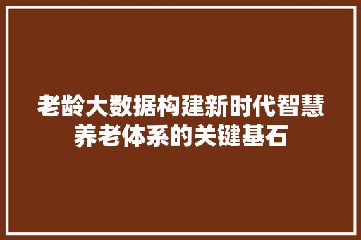 老龄大数据构建新时代智慧养老体系的关键基石