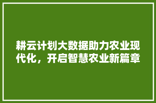耕云计划大数据助力农业现代化，开启智慧农业新篇章