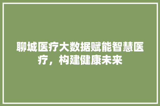 聊城医疗大数据赋能智慧医疗，构建健康未来