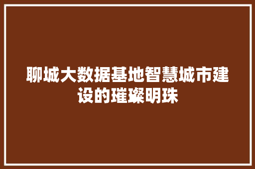 聊城大数据基地智慧城市建设的璀璨明珠