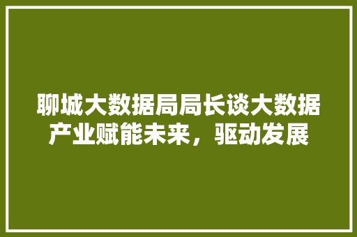聊城大数据局局长谈大数据产业赋能未来，驱动发展